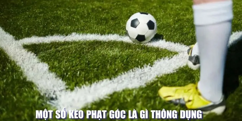 Kèo phạt góc là gì và các hình thức thông dụng