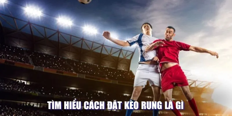 Tìm hiểu cách đặt kèo rung là gì